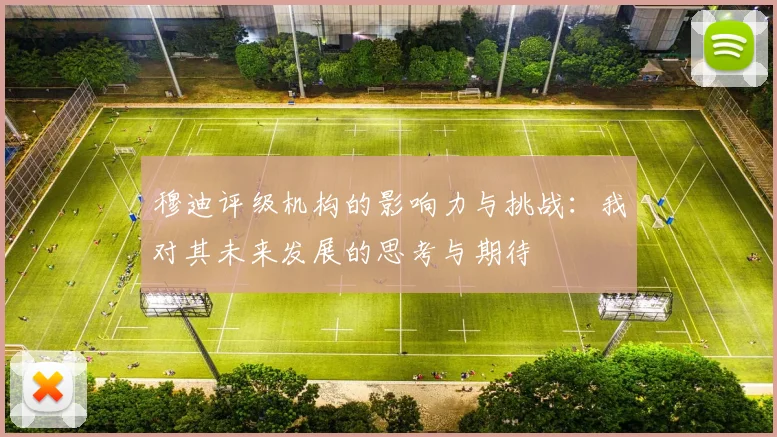 穆迪评级机构的影响力与挑战：我对其未来发展的思考与期待